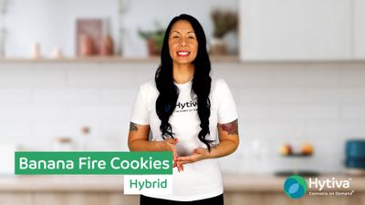 Banana Fire Cookies - Hybrid Strain