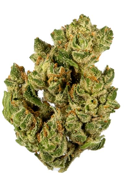 Banana OG - Hybrid Cannabis Strain