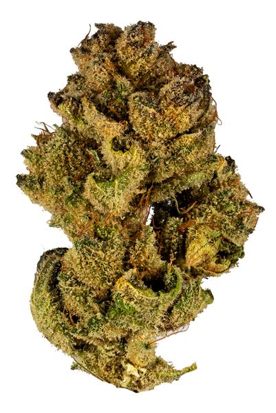 Banana Treez - Hybrid Cannabis Strain