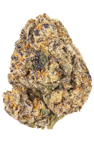 Bangkok Purple - Hybrid Cannabis Strain