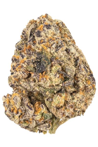 Bangkok Purple - Hybrid Cannabis Strain