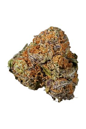 Barney Purple - Hybrid Cannabis Strain