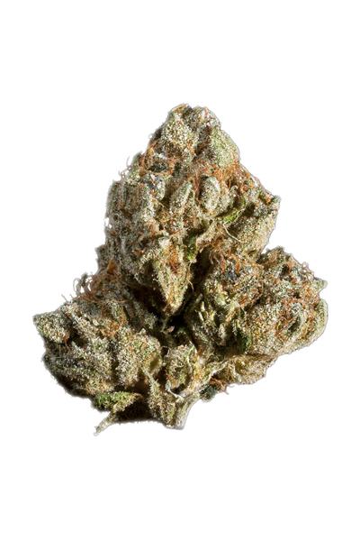 Batman OG - Híbrido Cannabis Strain