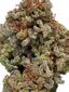 Berry White Hybrid Cannabis Strain Thumbnail