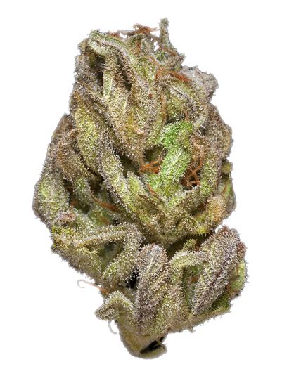 Berryjuana - Hybrid Cannabis Strain