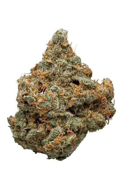 Beyond Blue Dream - Hybrid Cannabis Strain