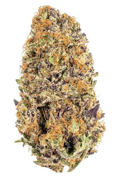 Bi-Polar Jackie - Hybrid Cannabis Strain