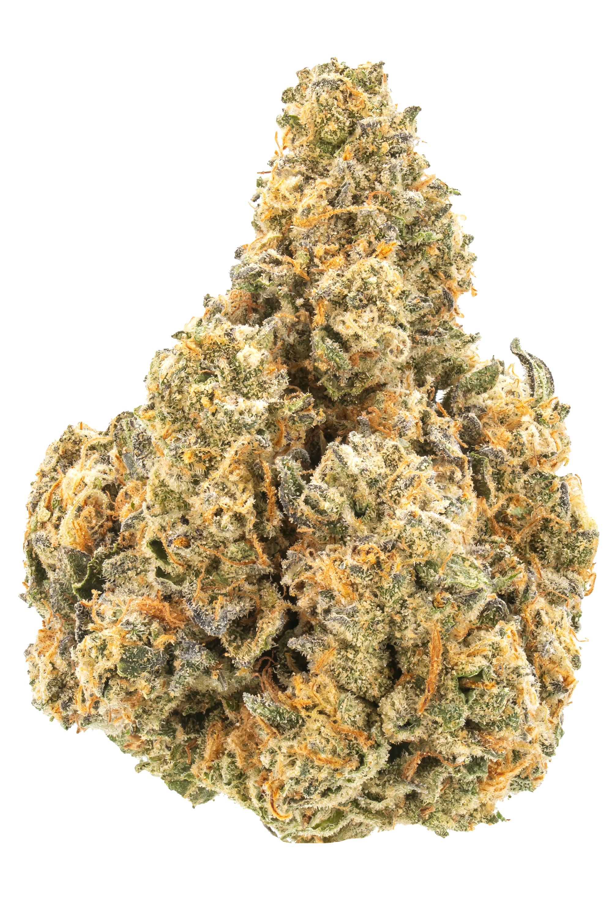 Big Apple Kush Mints - Híbrido Cannabis Strain