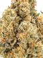 Big Apple Kush Mints Hybrid Cannabis Strain Thumbnail
