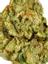 Big Baby Bud Hybrid Cannabis Strain Thumbnail