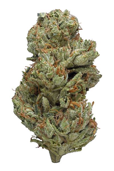 Big Bang - Hybrid Cannabis Strain