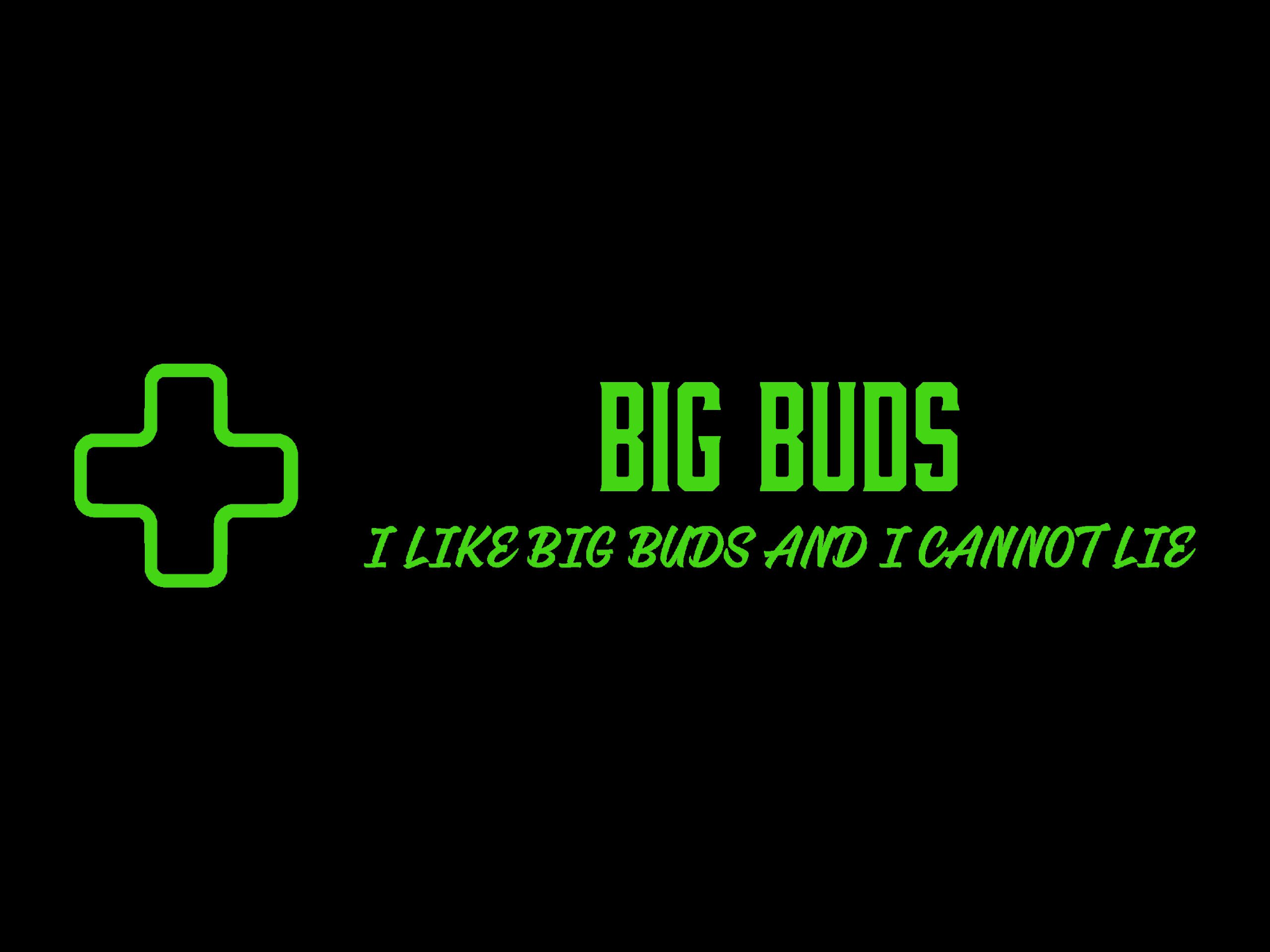 Big Buds - Skiatook - Logo