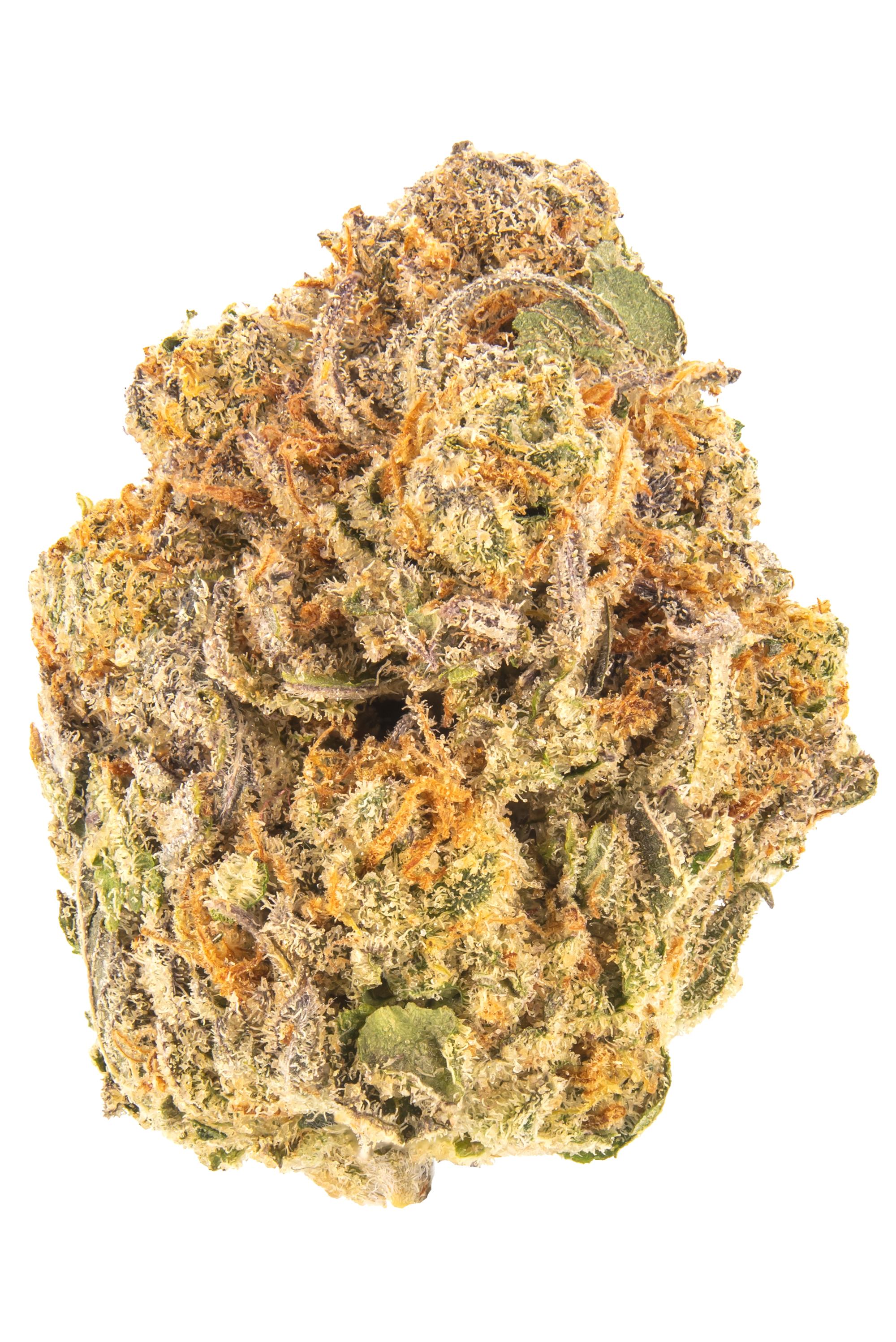 Big Buffalo Hybrid Cannabis Strain Thumbnail