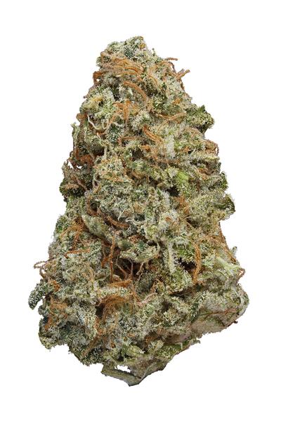 Big Wreck - Híbrida Cannabis Strain