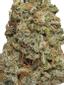 Big Wreck Hybrid Cannabis Strain Thumbnail