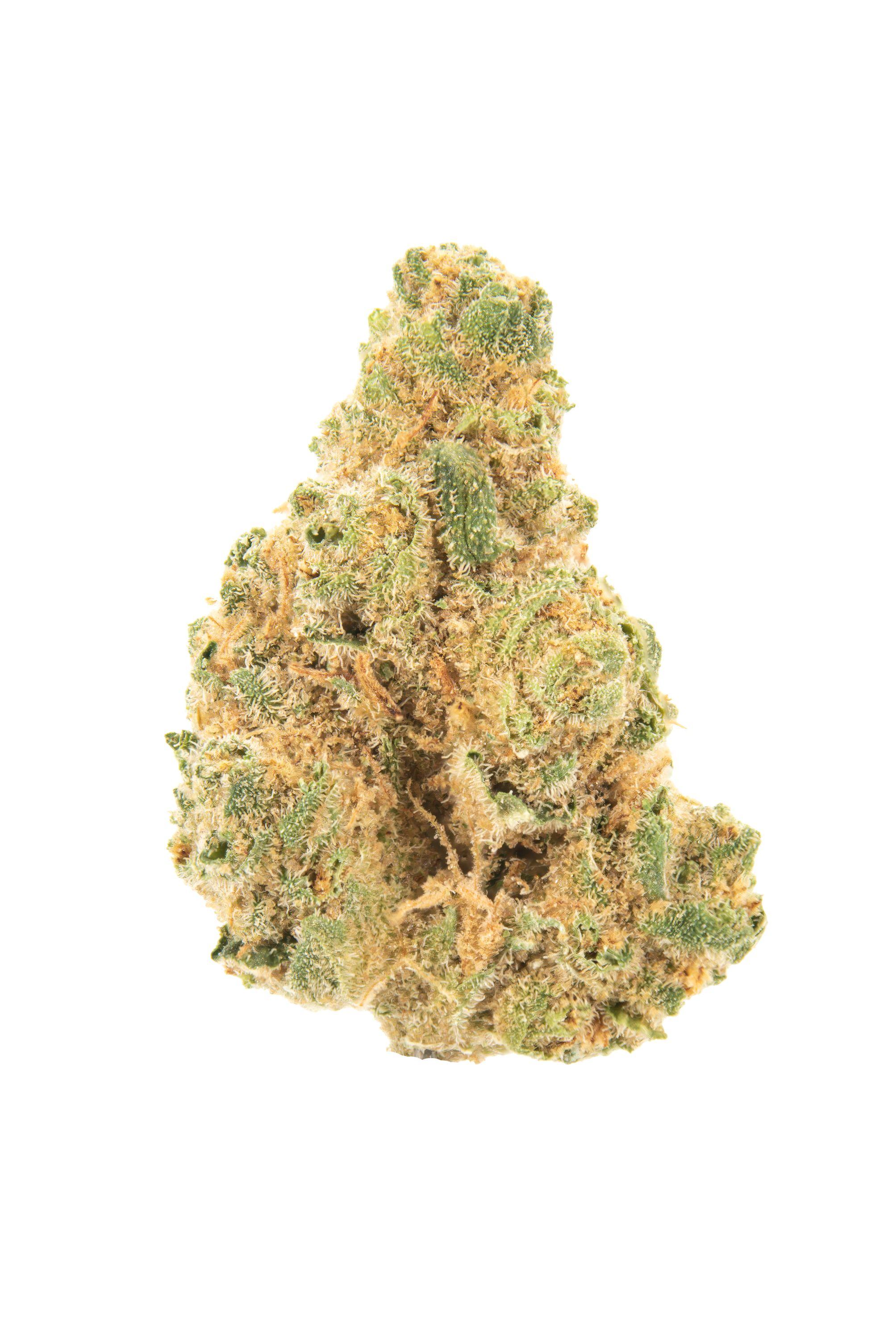 Bigfoot Glue Cannabis Strain Bud