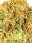 Bio Buddha Hybrid Cannabis Strain Thumbnail