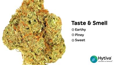 Bio Buddha - Hybrid Cannabis Strain