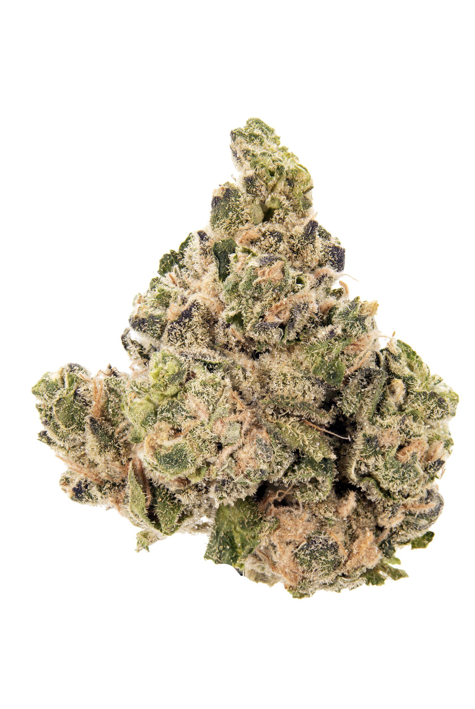BioFuel Cannabis Strain Bud