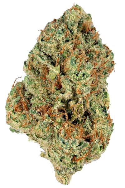 Bio Jesus - Hybrid Cannabis Strain