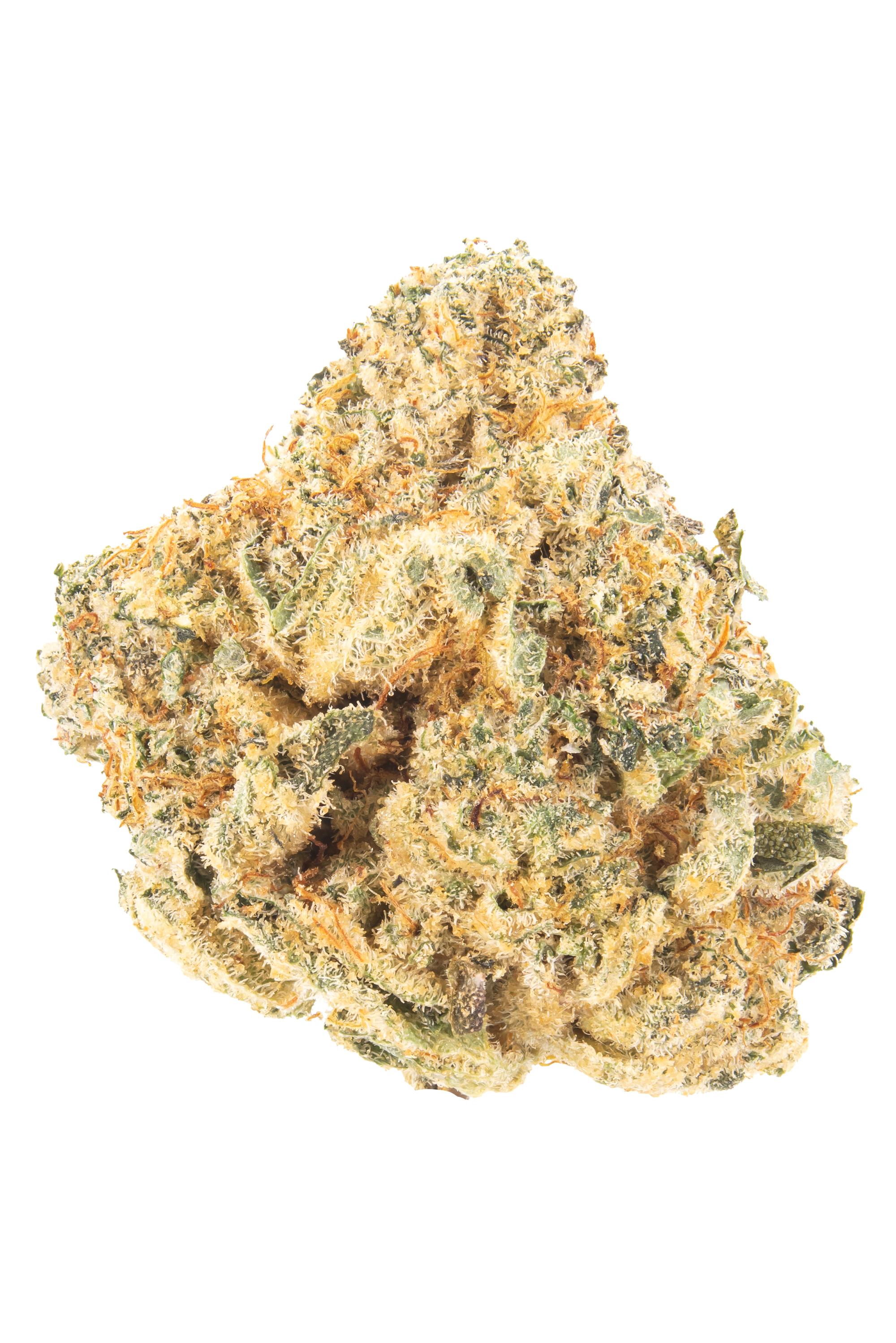 Biscotti Mintz - Hybrid Cannabis Strain