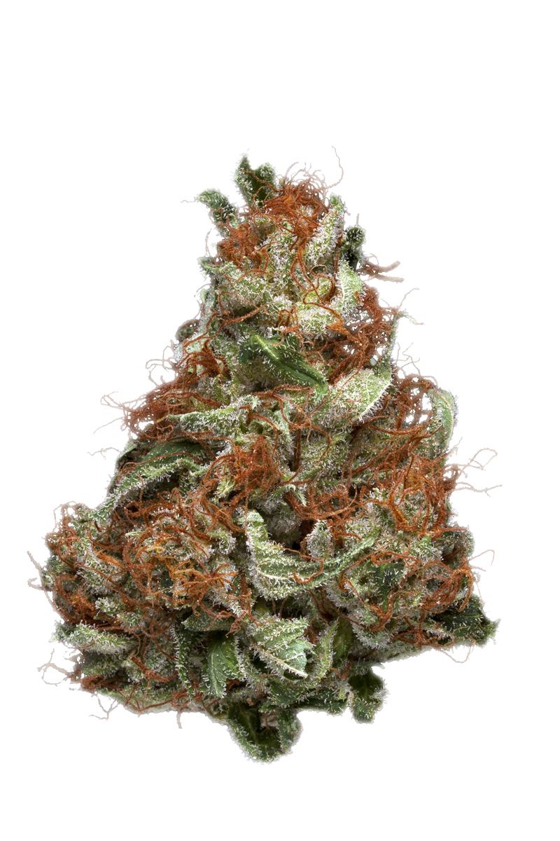 Black 84 - indica Cannabis Strain by Hytiva