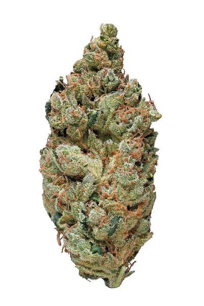 Black Diesel - Hybrid Cannabis Strain