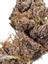 Black Domina Indica Cannabis Strain Thumbnail