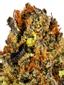 Black Flag Indica Cannabis Strain Thumbnail