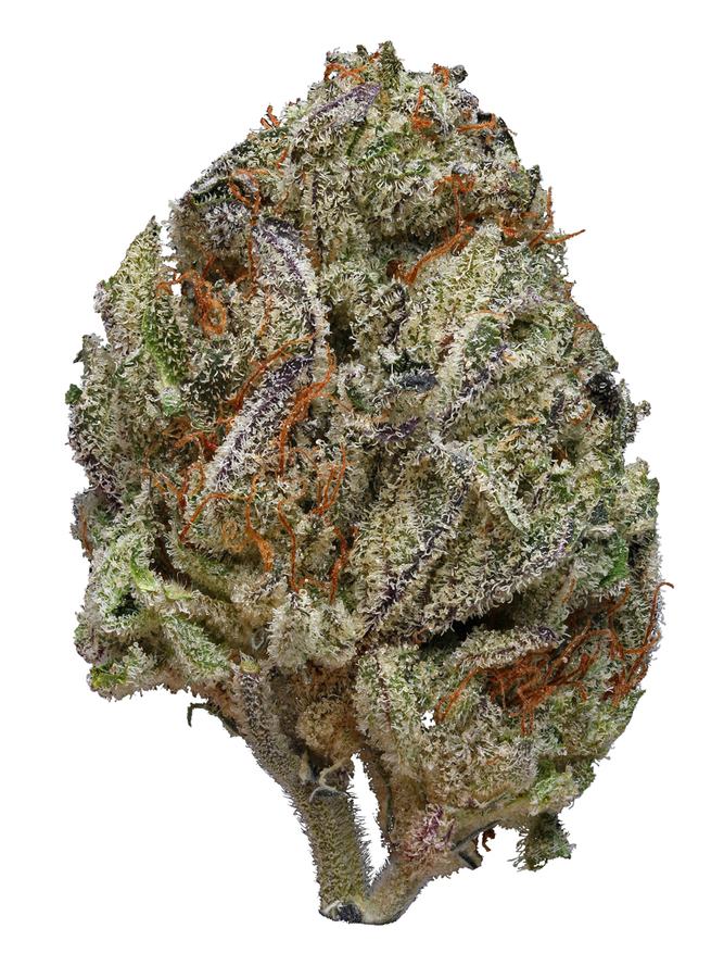 Black Ice Strain - Hybrid Cannabis Review : Hytiva