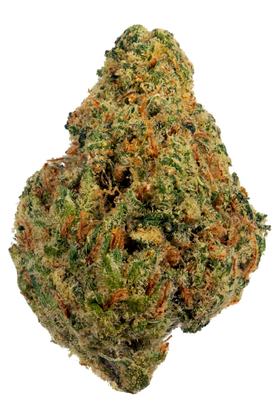 Black Jack - Hybrid Cannabis Strain