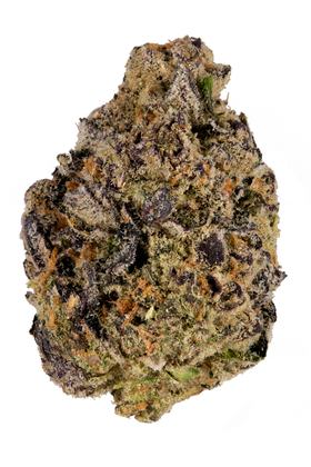 Black Mamba - Hybrid Cannabis Strain