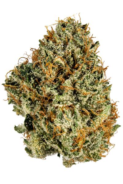 Black Triangle - Hybrid Cannabis Strain