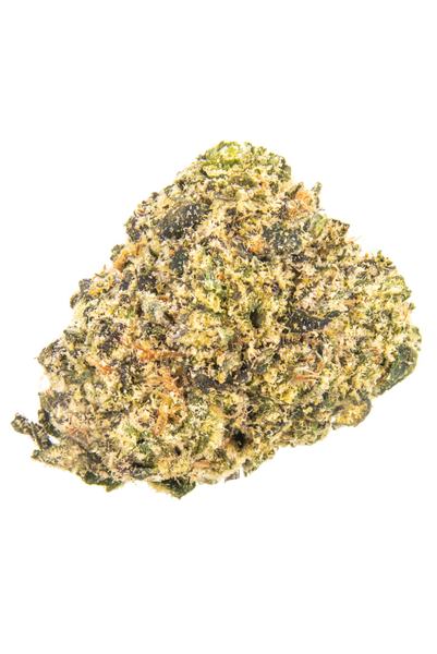 Black Truffle - Híbrida Cannabis Strain