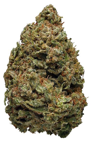 Black Widow - Híbrido Cannabis Strain