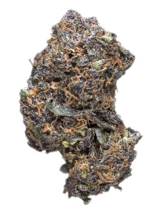 Blackberry Hashplant - Hybrid Cannabis Strain