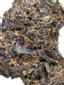 Blackberry Hashplant Hybrid Cannabis Strain Thumbnail