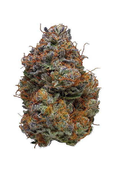 Blackberry Kush - Híbrida Cannabis Strain