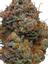 Blackberry Kush Hybrid Cannabis Strain Thumbnail