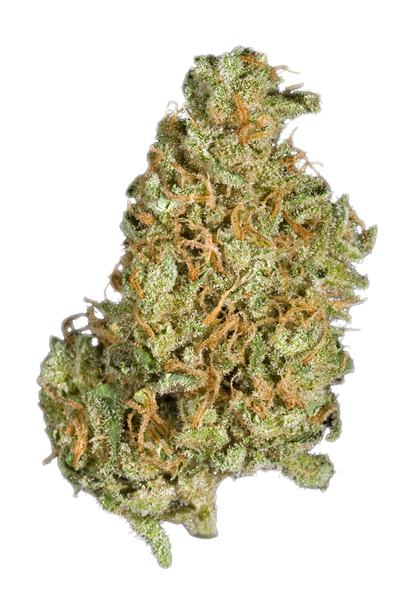 Blackberry Lime Haze - Hybrid Cannabis Strain