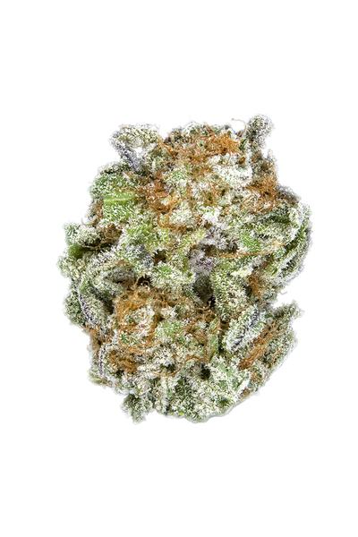Blackberry Rhino - Hybrid Cannabis Strain