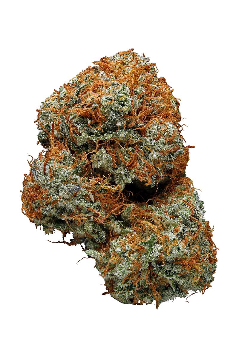 Blackwater OG - Híbrido Cannabis Strain