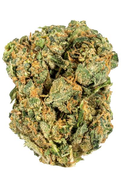 Blanco - Hybrid Cannabis Strain