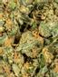 Blanco Hybrid Cannabis Strain Thumbnail