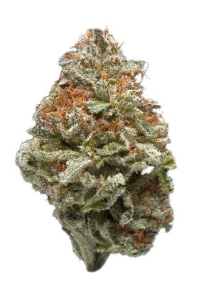 Blockhead - Híbrida Cannabis Strain