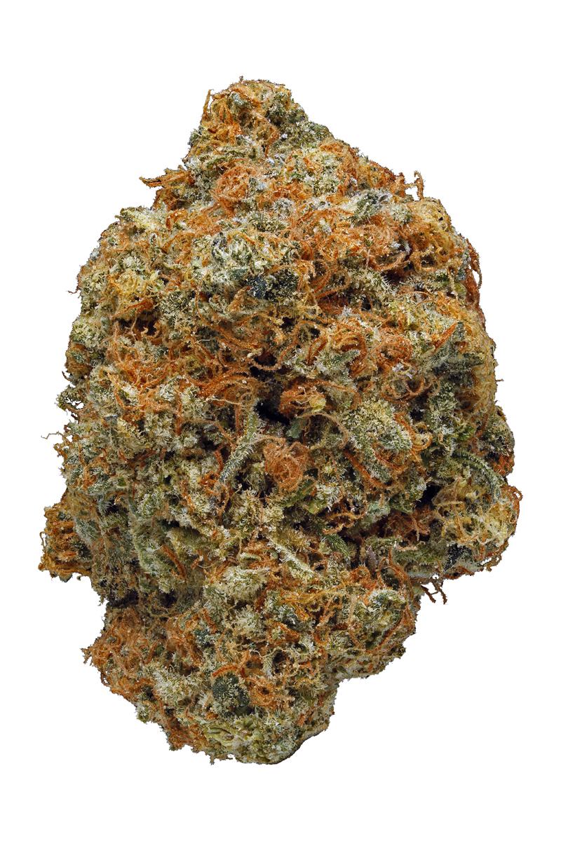 Blue Afghani - Hybrid Cannabis Strain