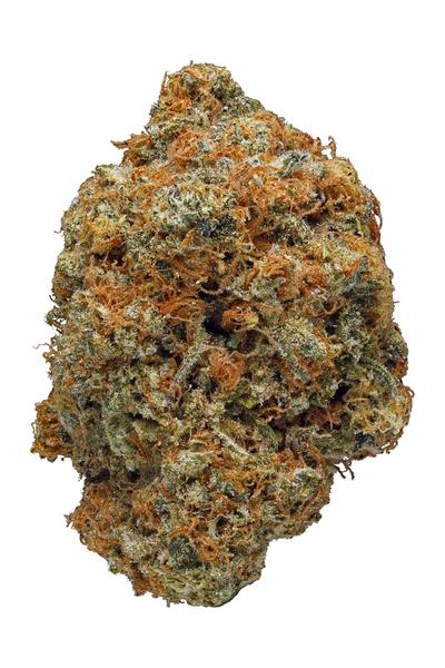 Blue Afghani - Híbrido Cannabis Strain