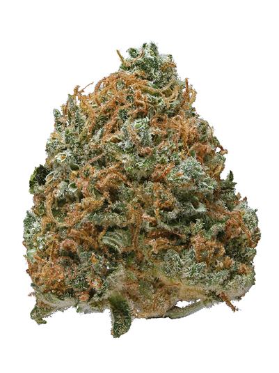 Blue Boy - Híbrida Cannabis Strain