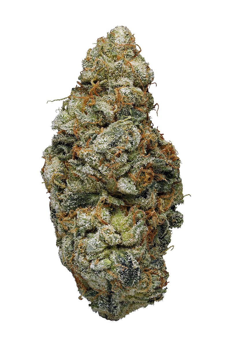 Blue Cookies aka Blue GSC, Blue Girl Scout Cookies Weed Strain Information  - Leafly