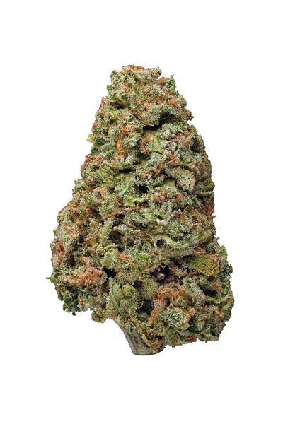 Blue Diesel - Hybrid Cannabis Strain